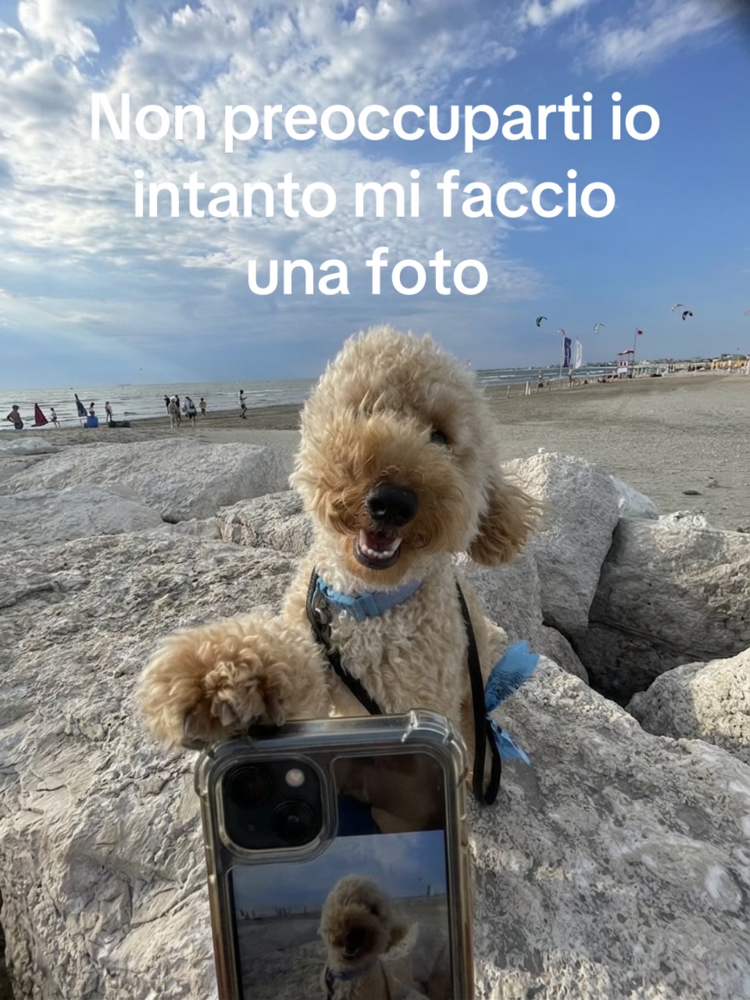 @Federica
