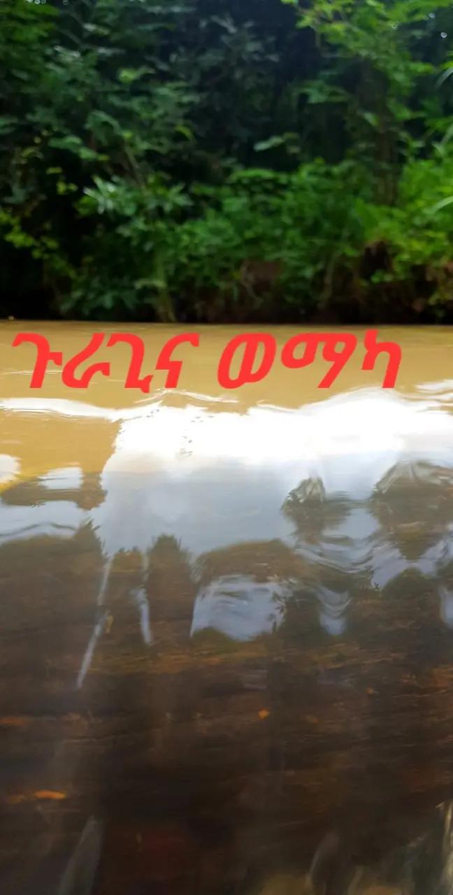 @ቢቺ አለም