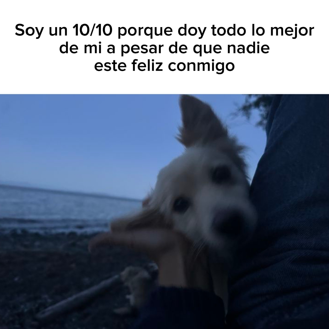 @Fabripuffs