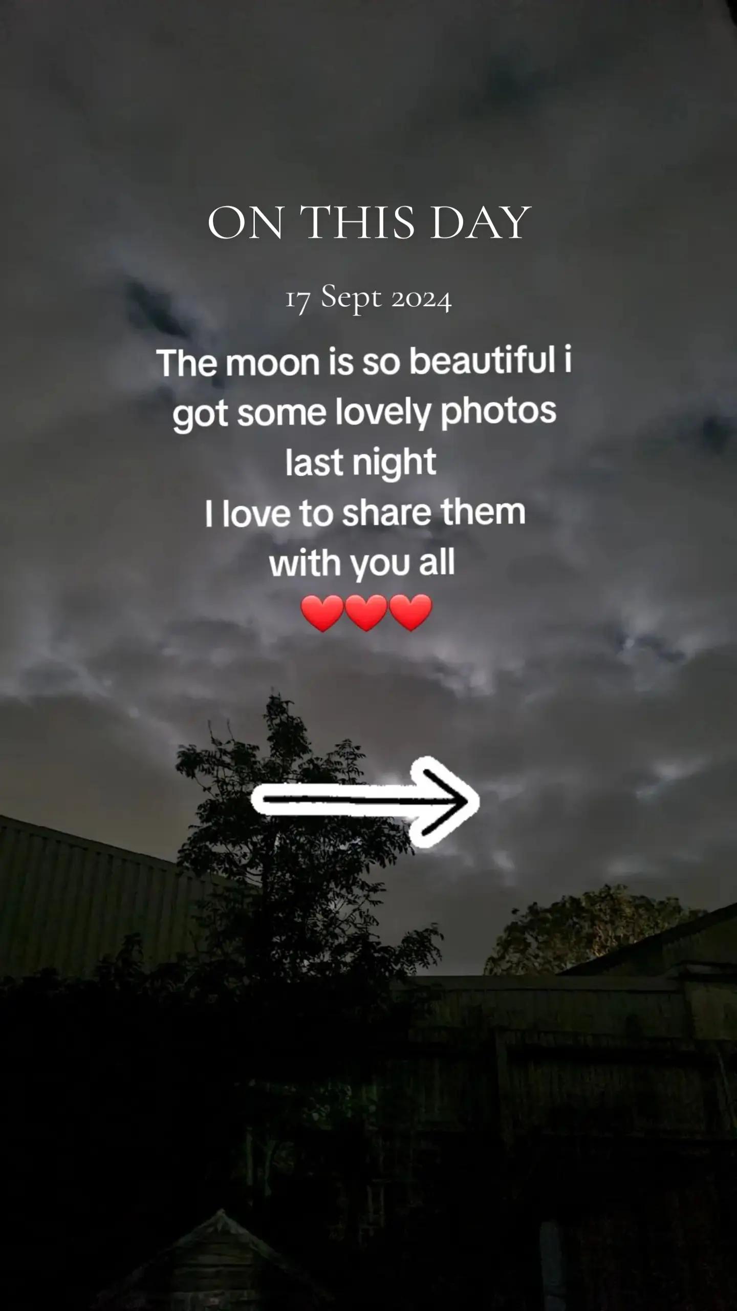 @claire🌈BellaBertErnie💙T&D