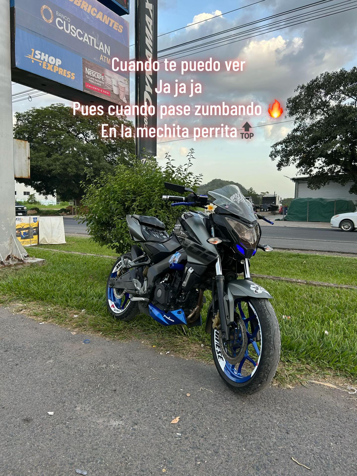 @el pana 🦥