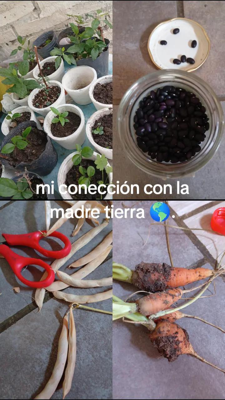 @Mirta Susana