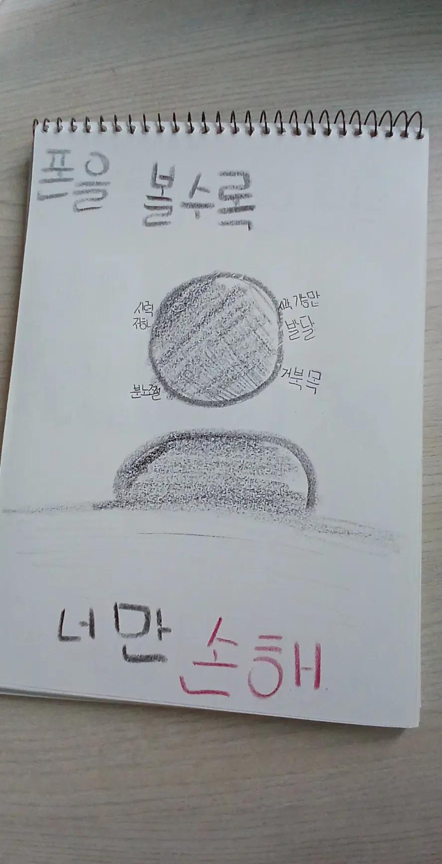 @귤
