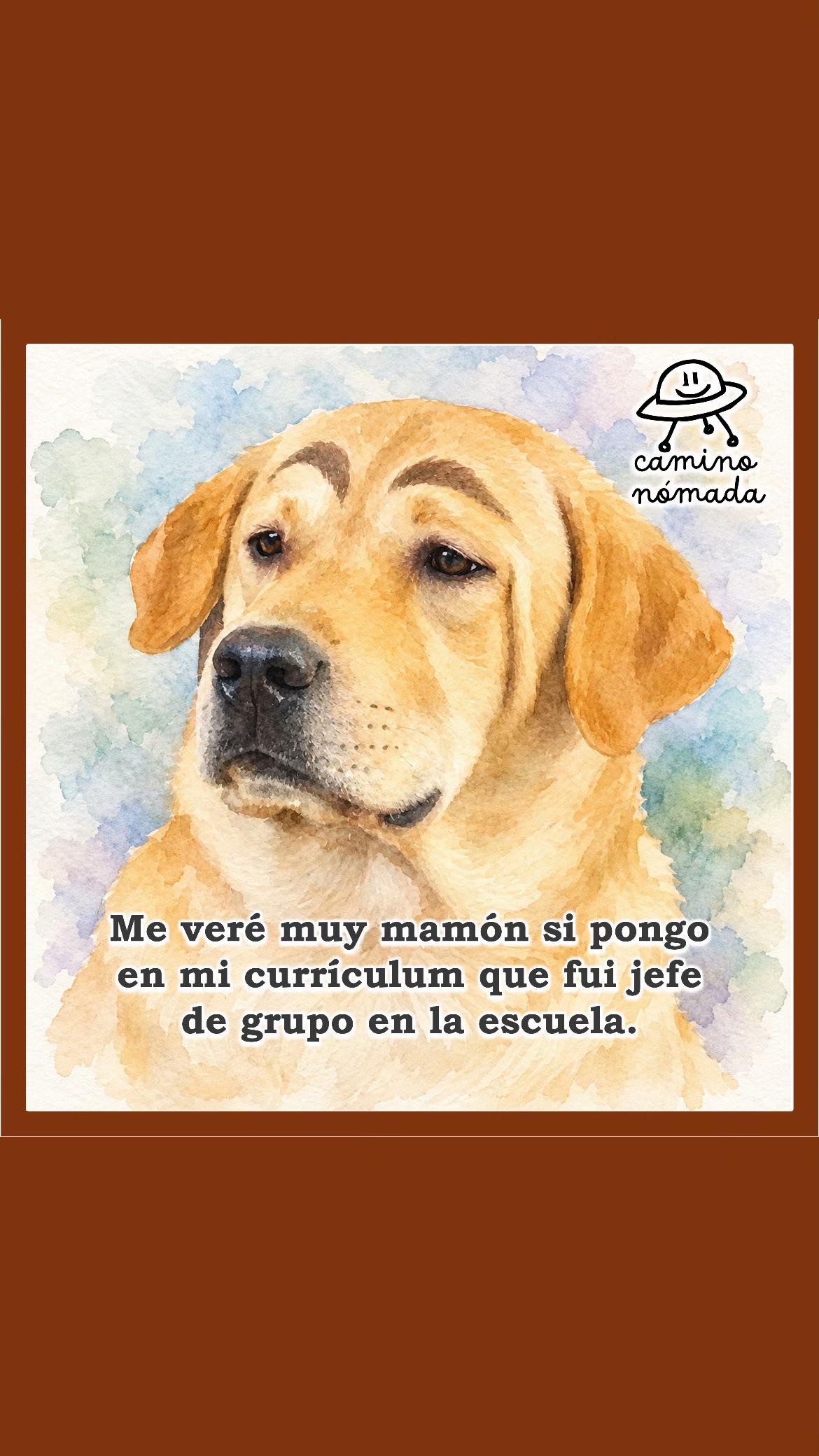 @Camino Nómada