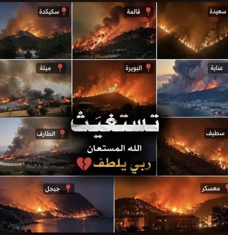 @Zaki Nounou