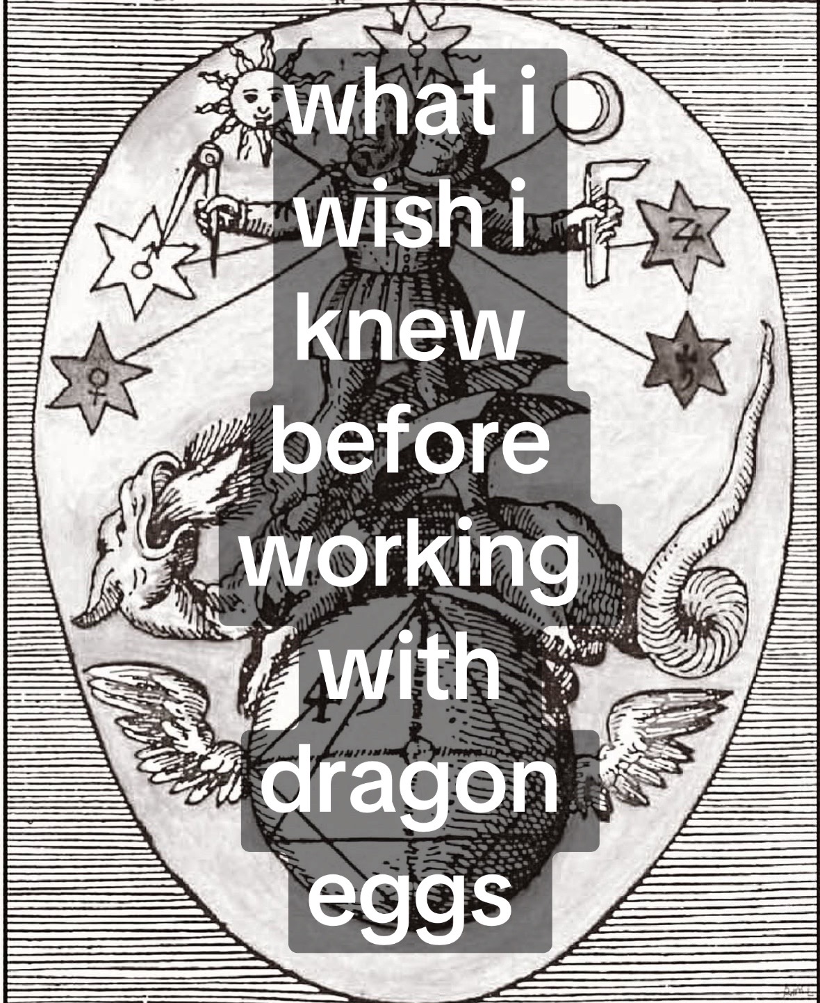@The Draconic Priestess 🐉