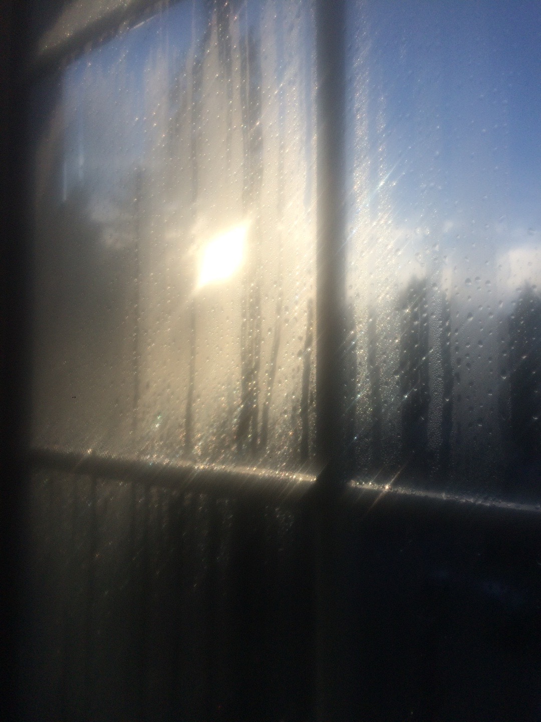 @isabellaelei