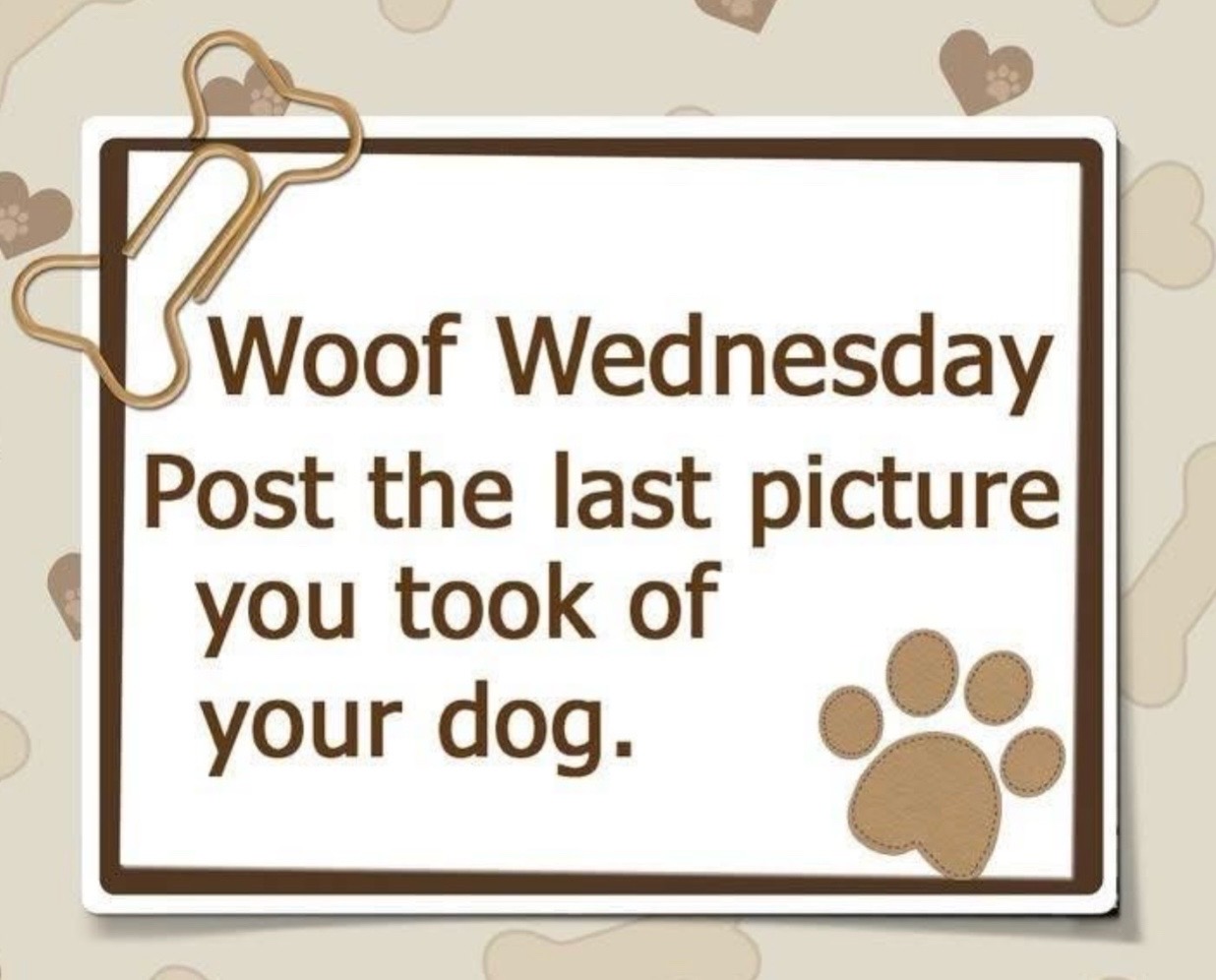 @Frankie & Foxy