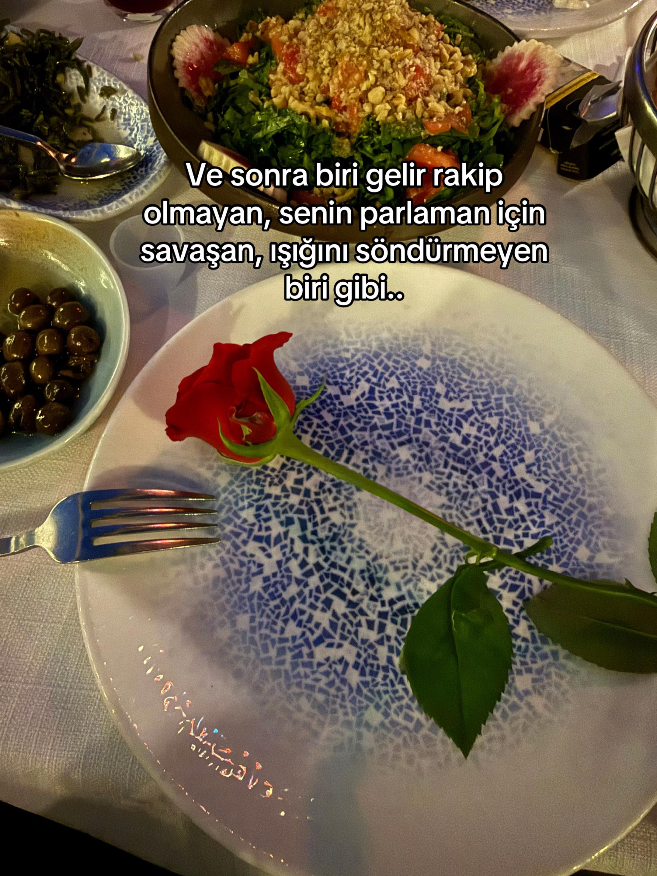 @Seda Tosun