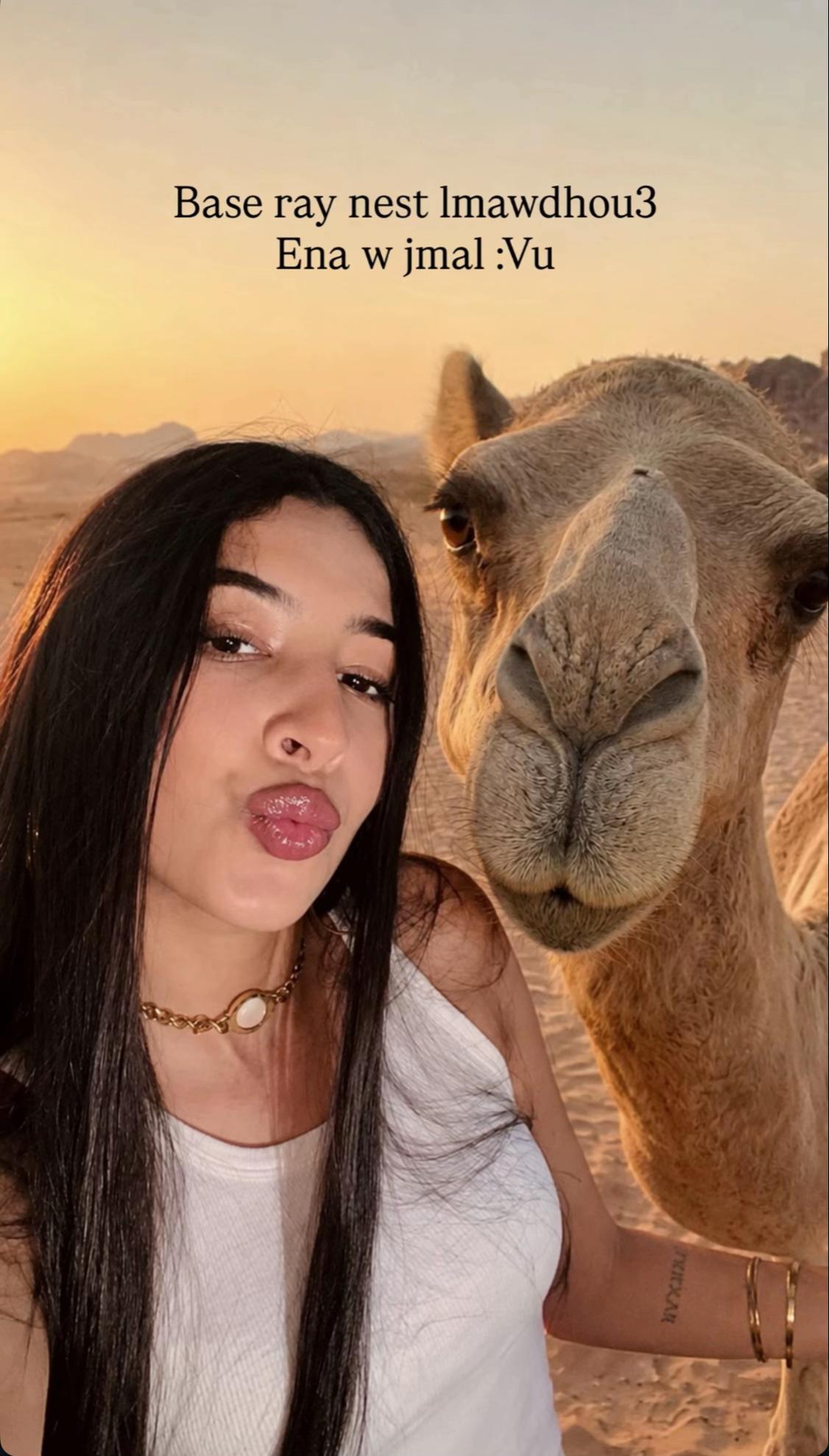 @M 🐆