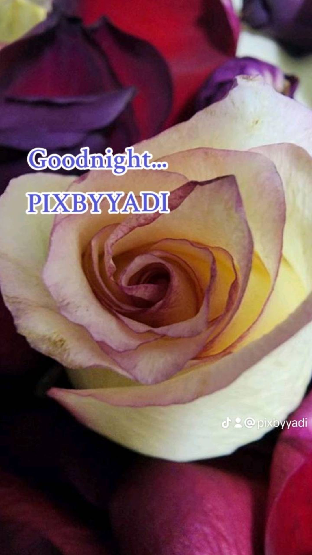 @Yadi