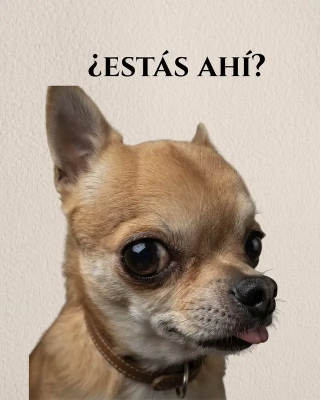 @SoyErikAlan