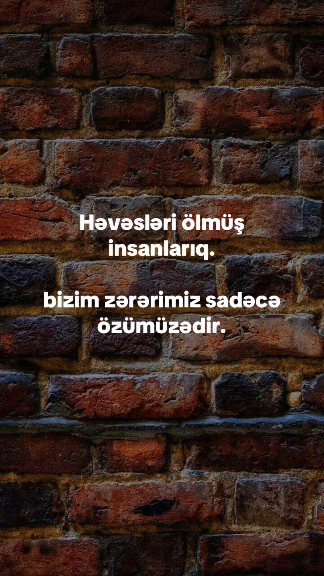 @musiqi_qidasi