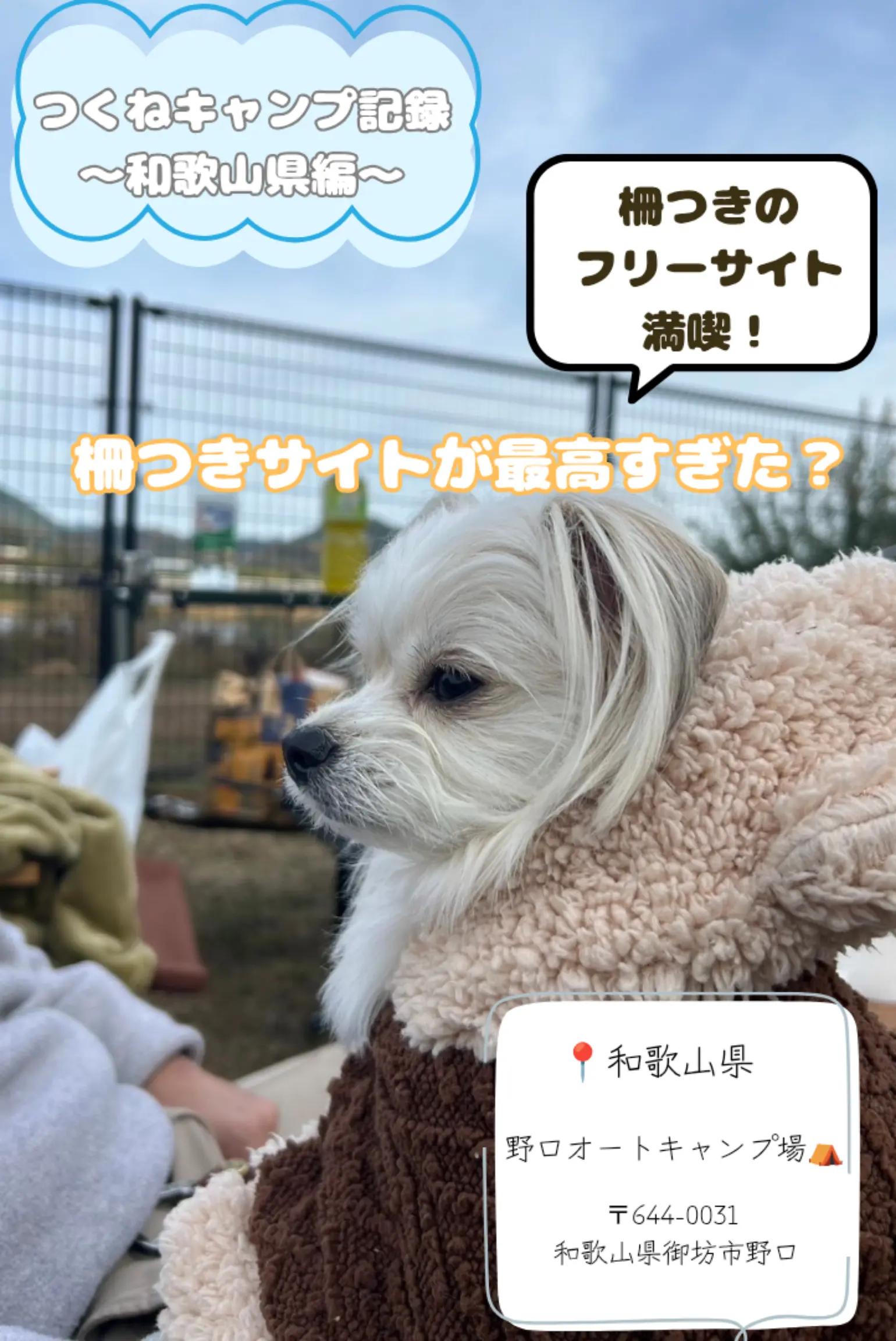 @つくねくん
