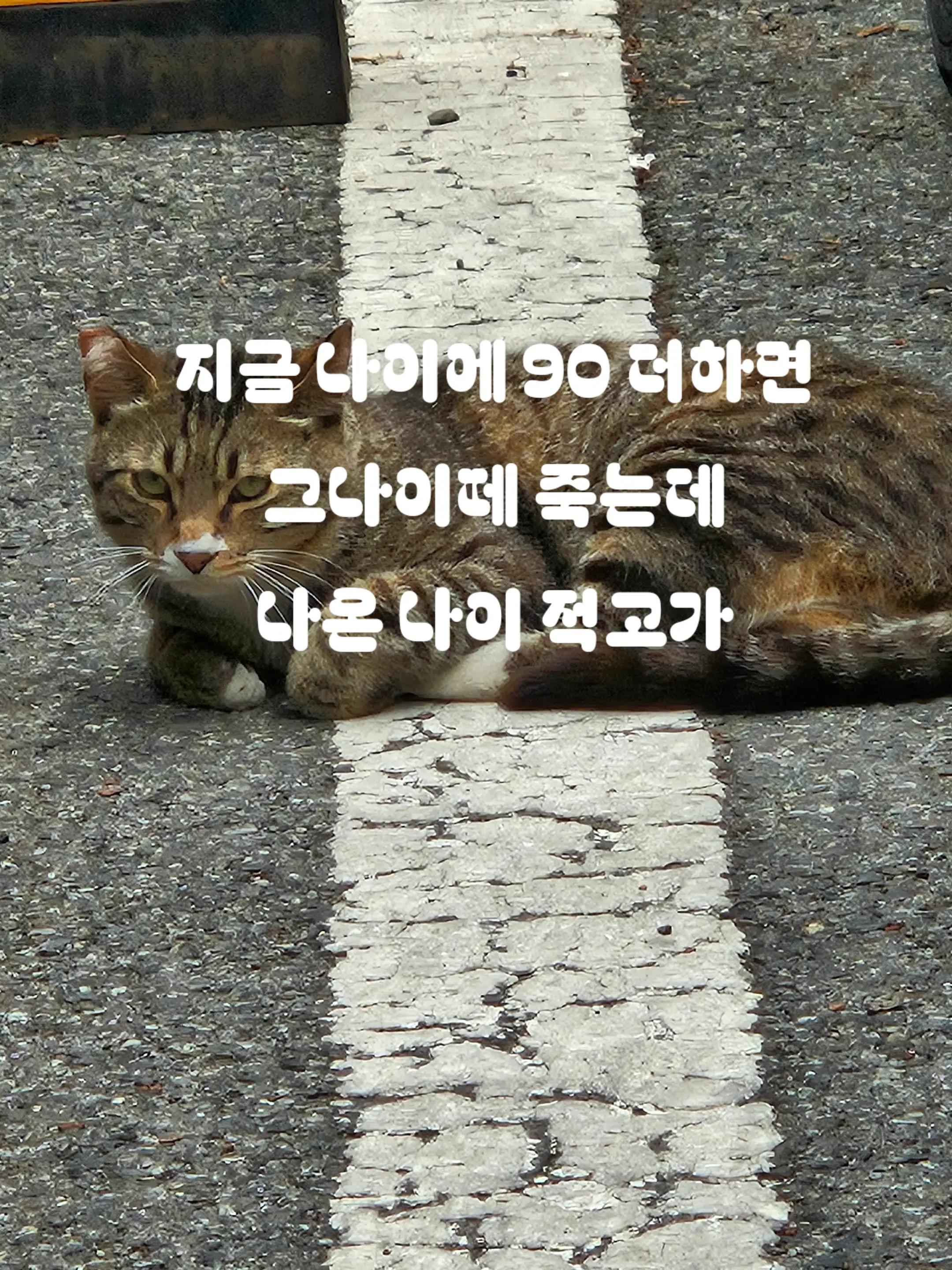 @태권소녀