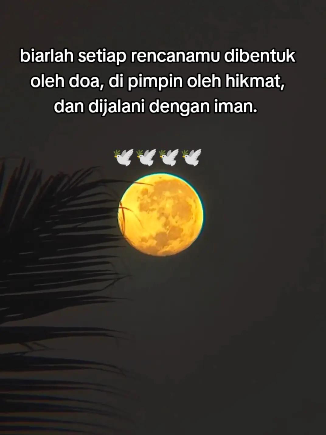 @@rego
