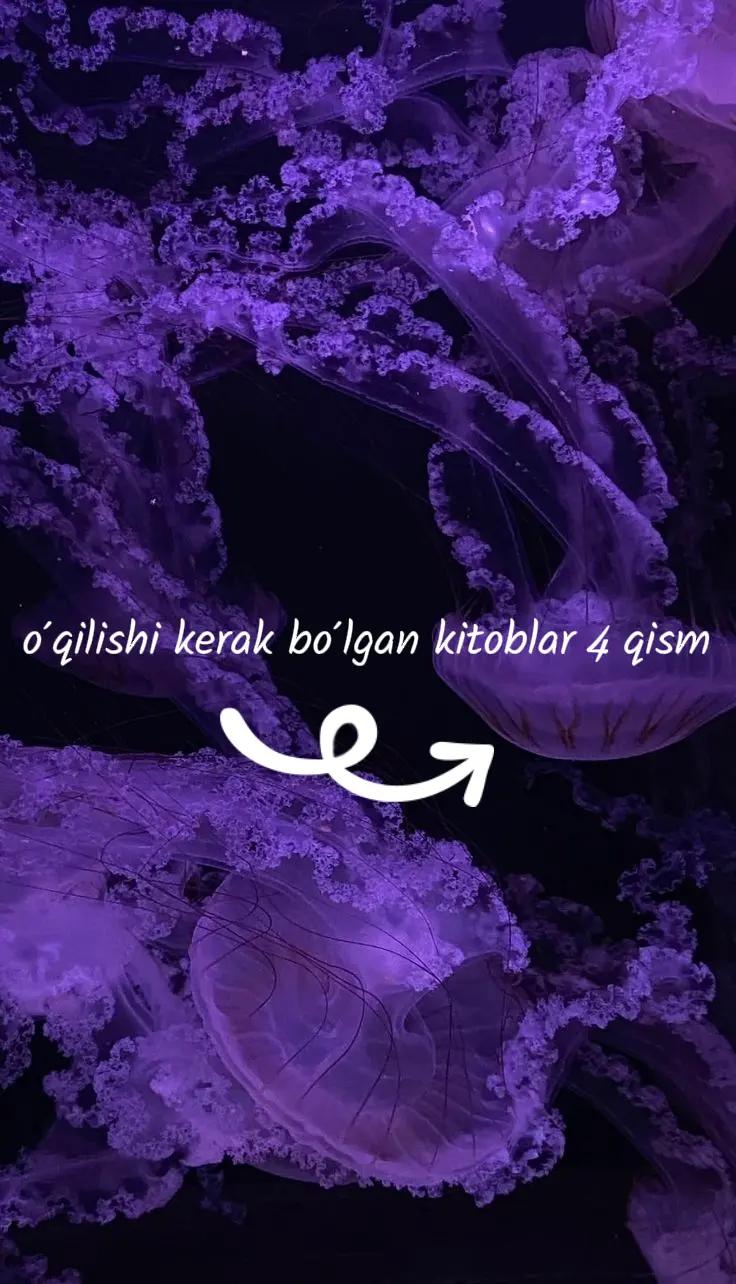 @Kitoblar