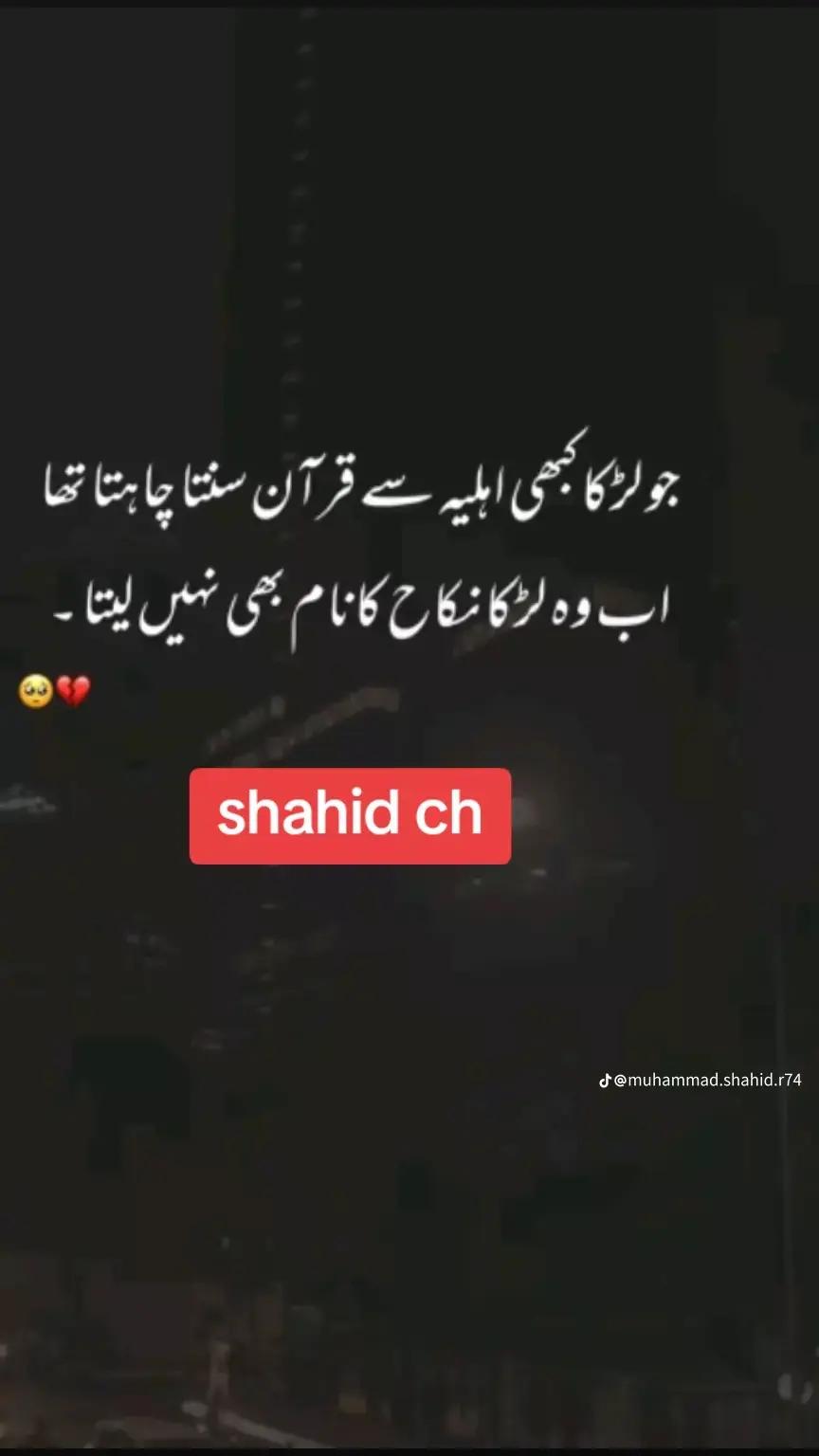 @Shahid Ch arain ❤🌹