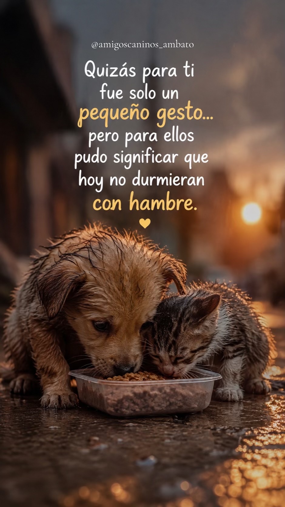 @Amigoscaninos_Ambato