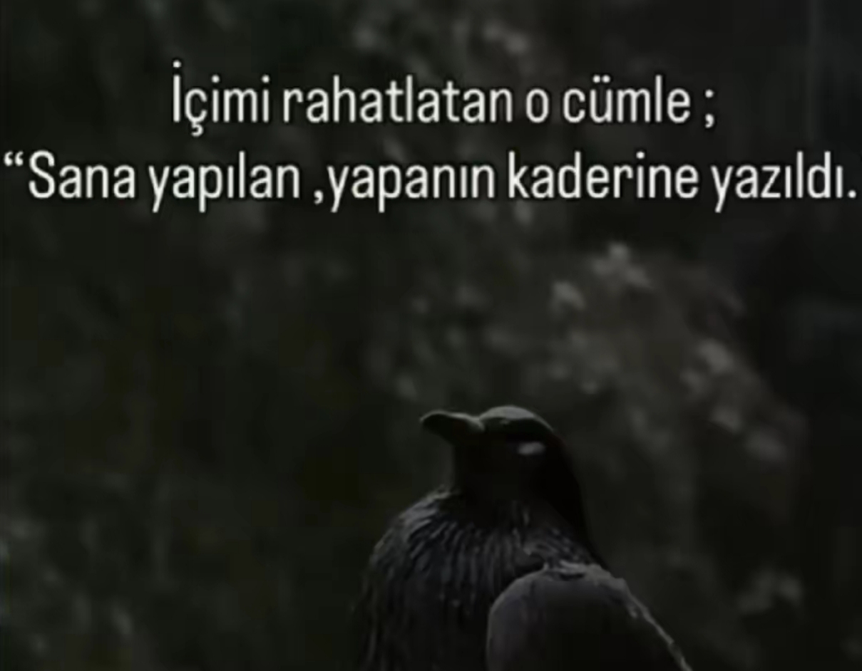 @Nur