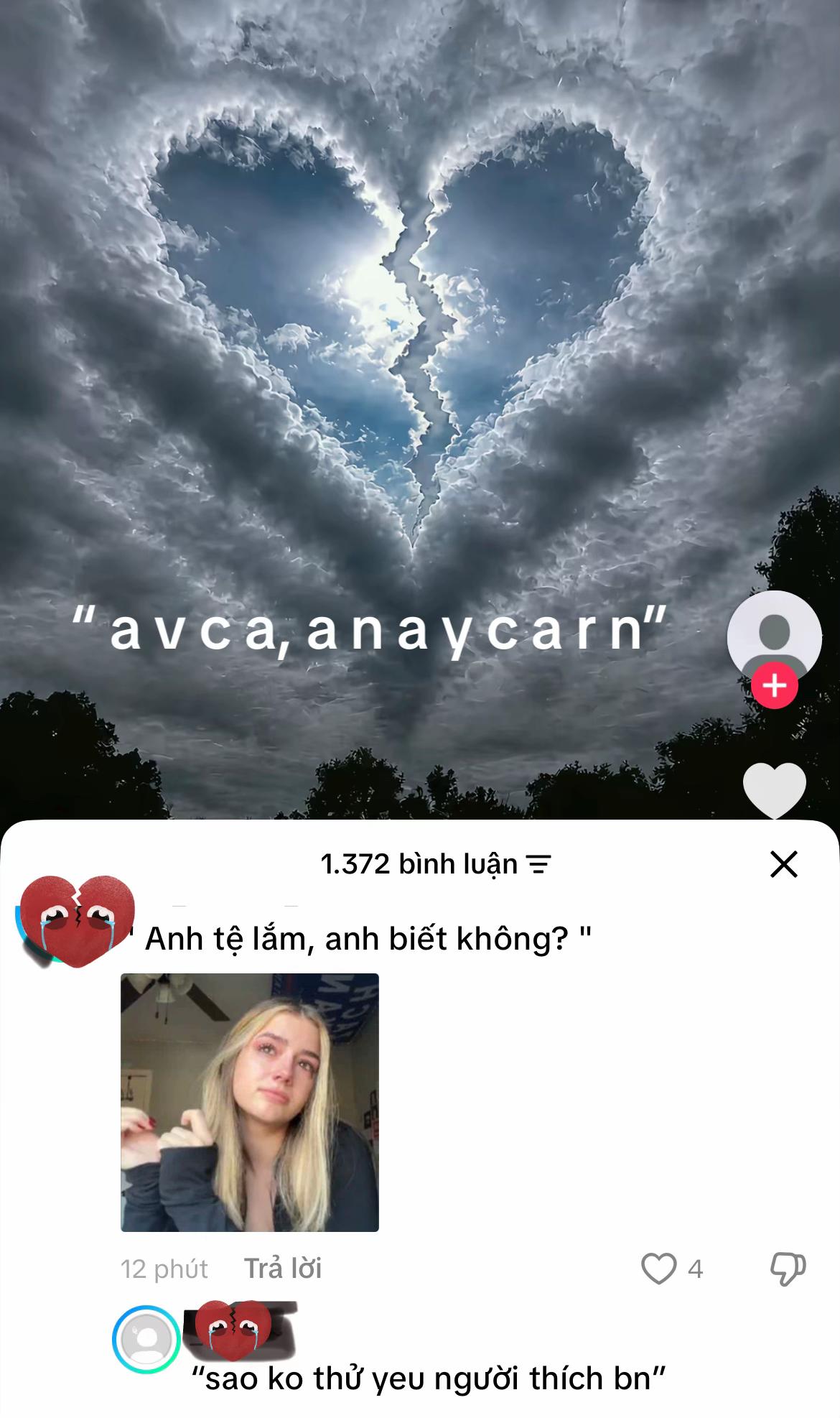 @⋆.𐙚 ̊⋆˚࿔ kitty 𝜗𝜚˚⋆🧸ྀི⋆˚࿔