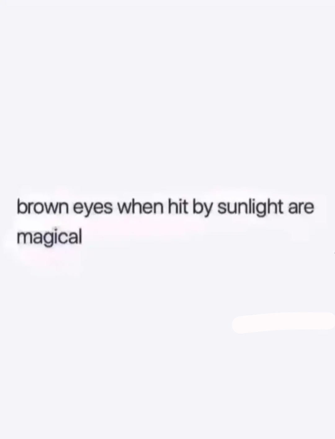 @₊˚✧ 𝒟𝒶𝓁𝒾𝒶 ✧˚₊