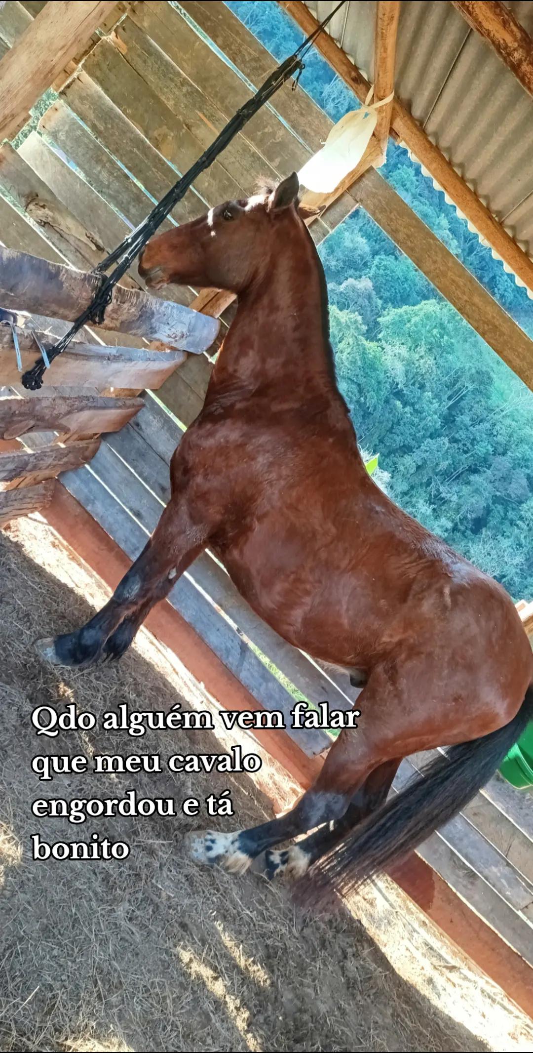 @Bruna_ofcc