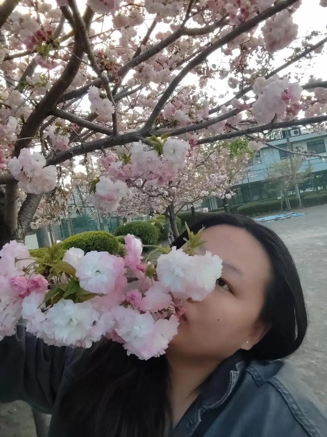 @ANJI🍀🪶