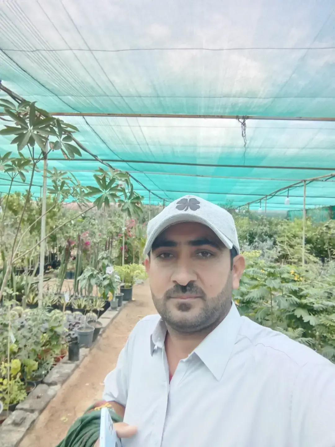 @Meer Hamza