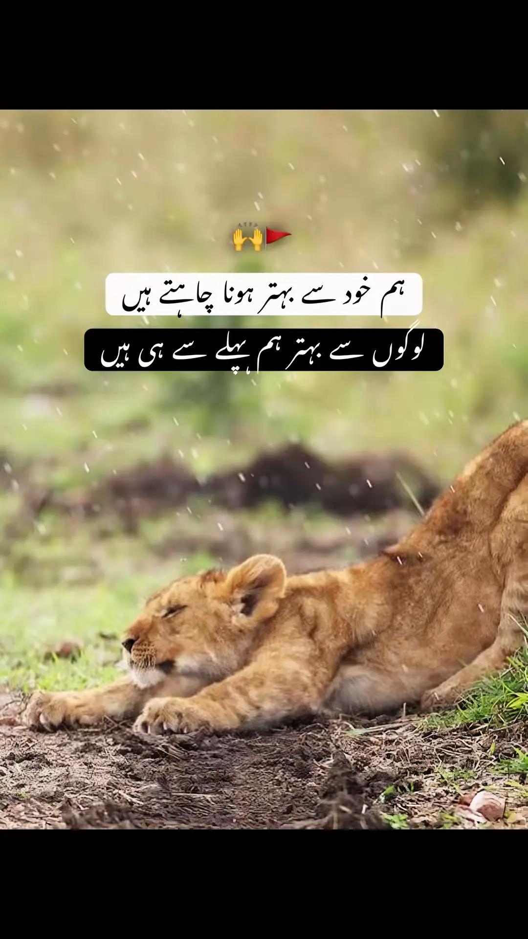 @Raja Aamir