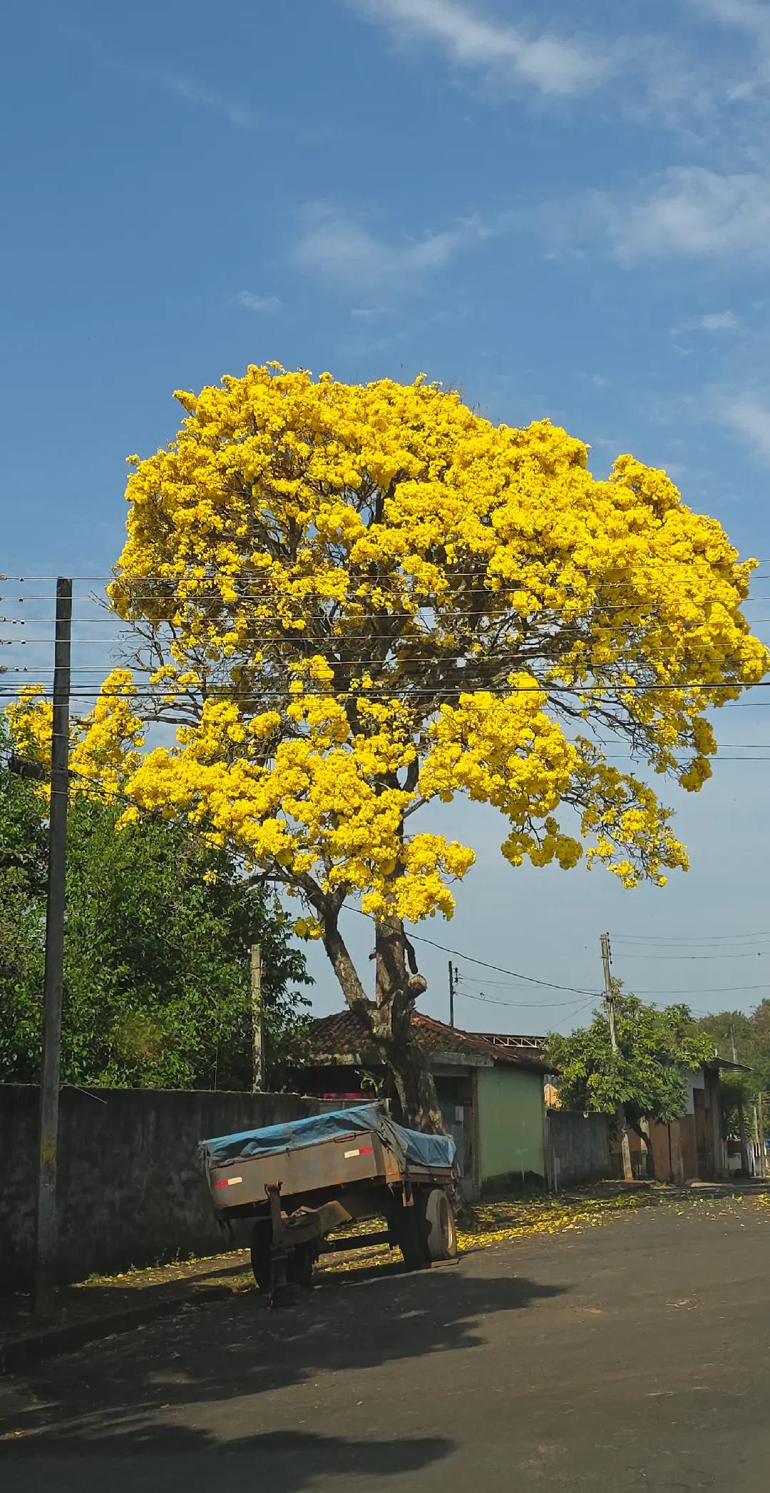 @uma palavra de Deus 🙌