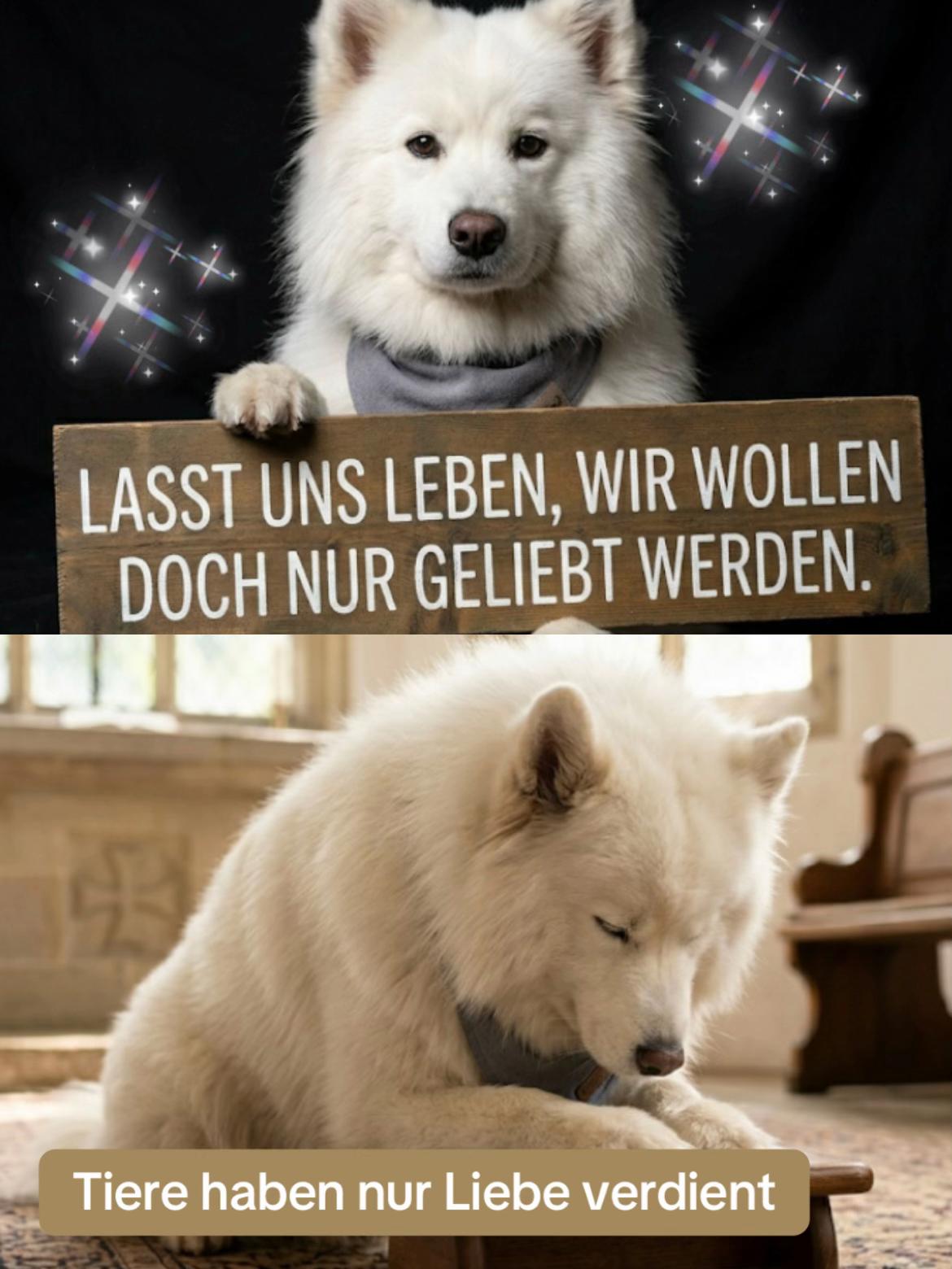 @Lua Team🐈🐕&zwj;🦺L&ouml;wenherz❤️🦁