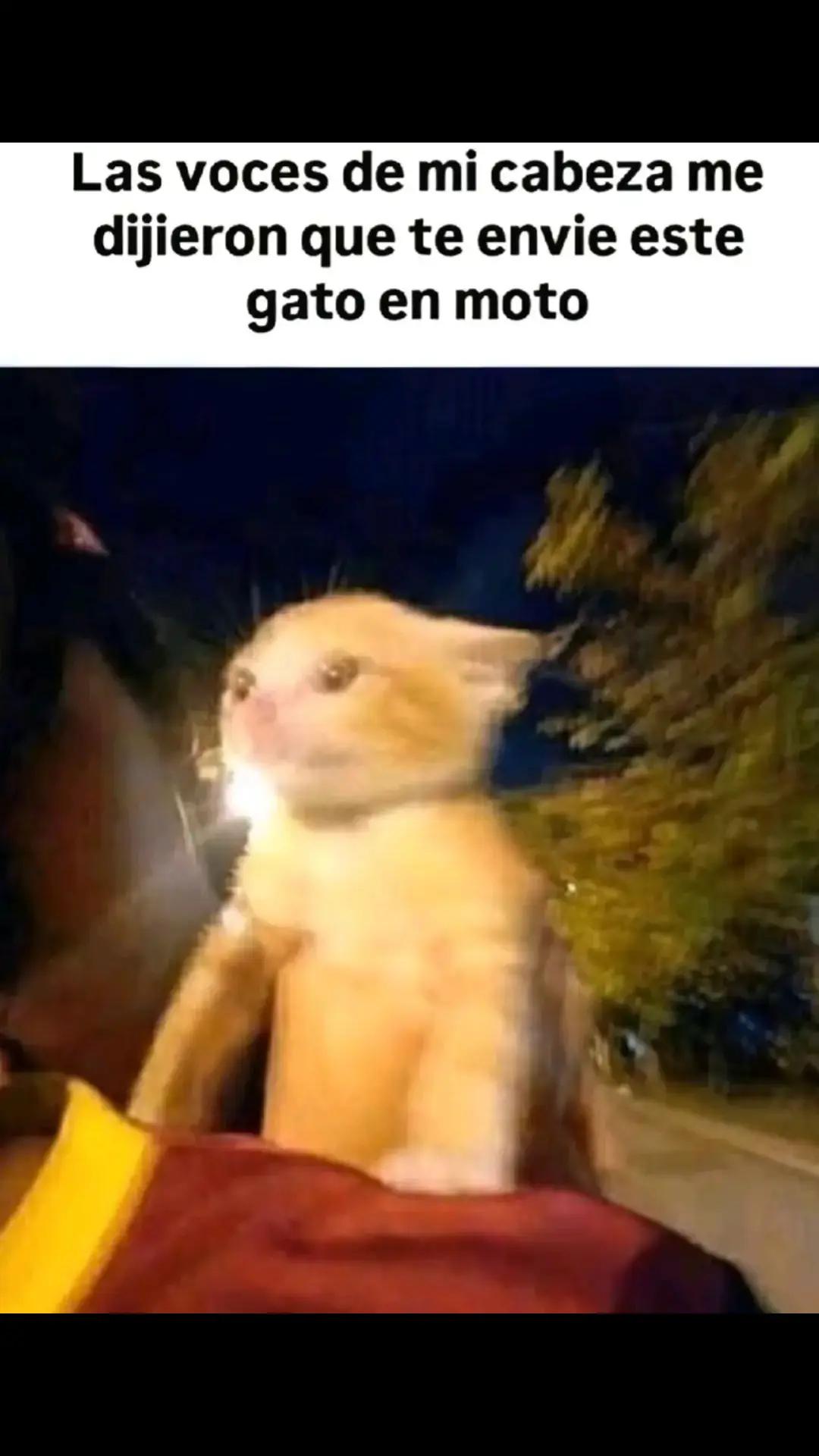 @Mario verde 🫠