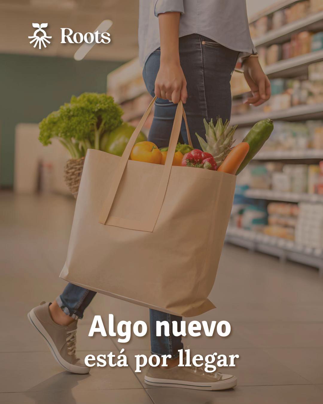 @Rootsmarket.mx