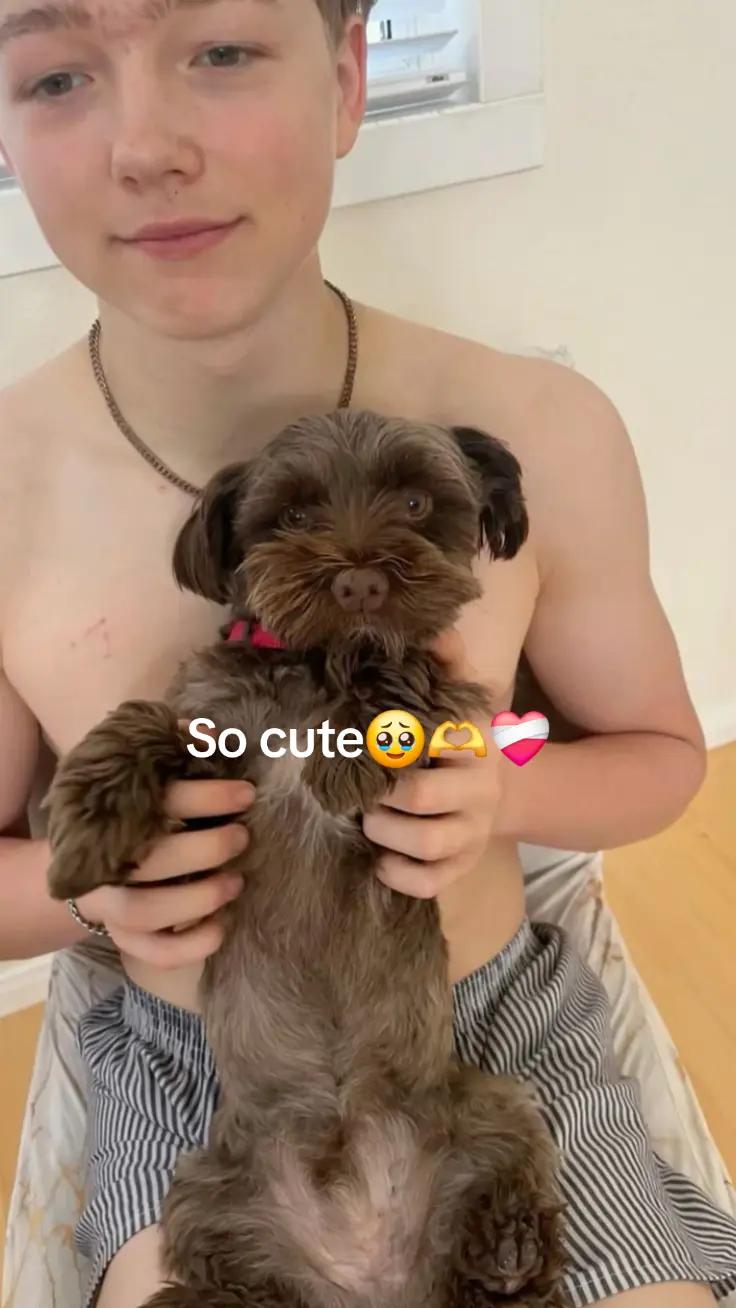 @Chris-FAN