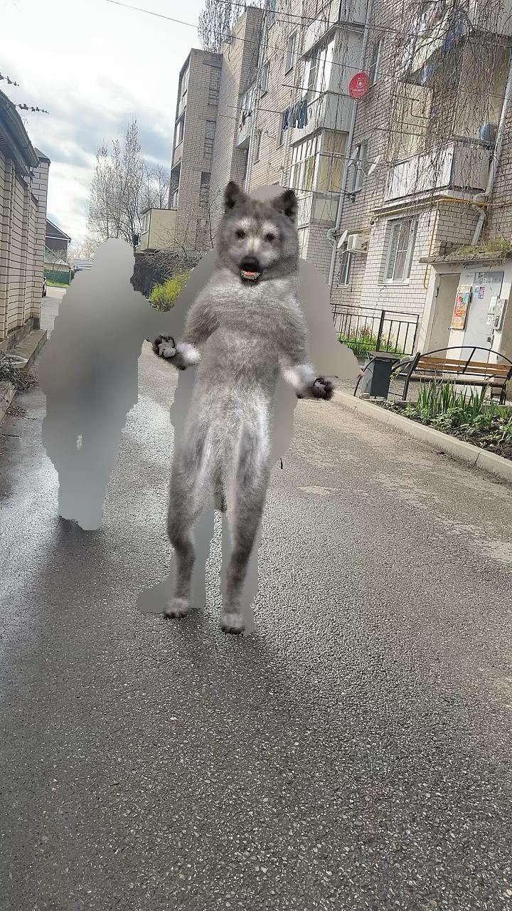 @kemr5530