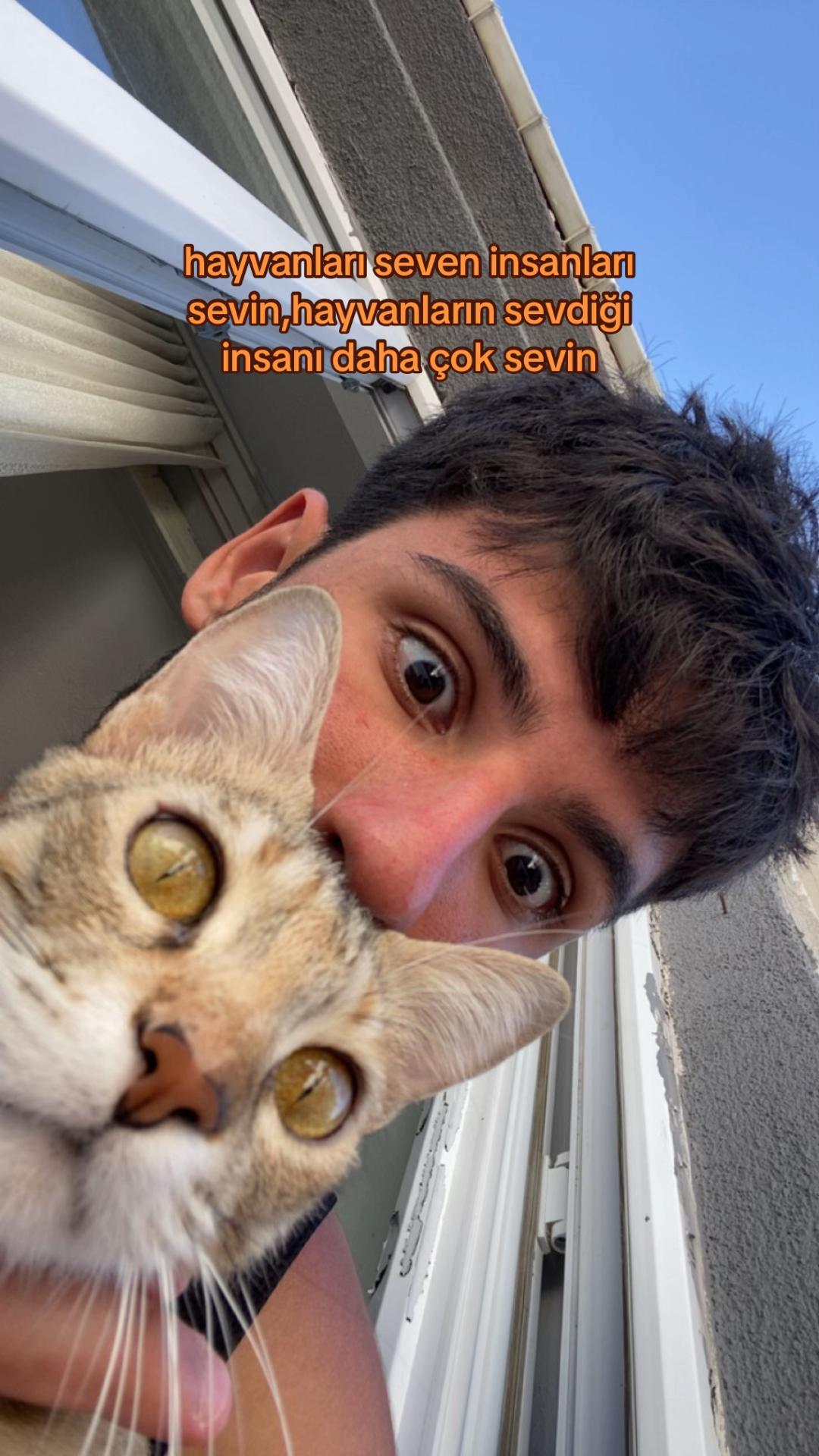 @Yasin Yaman