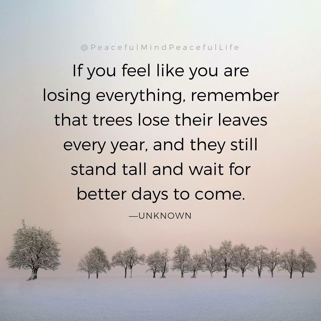 @wholesoulme