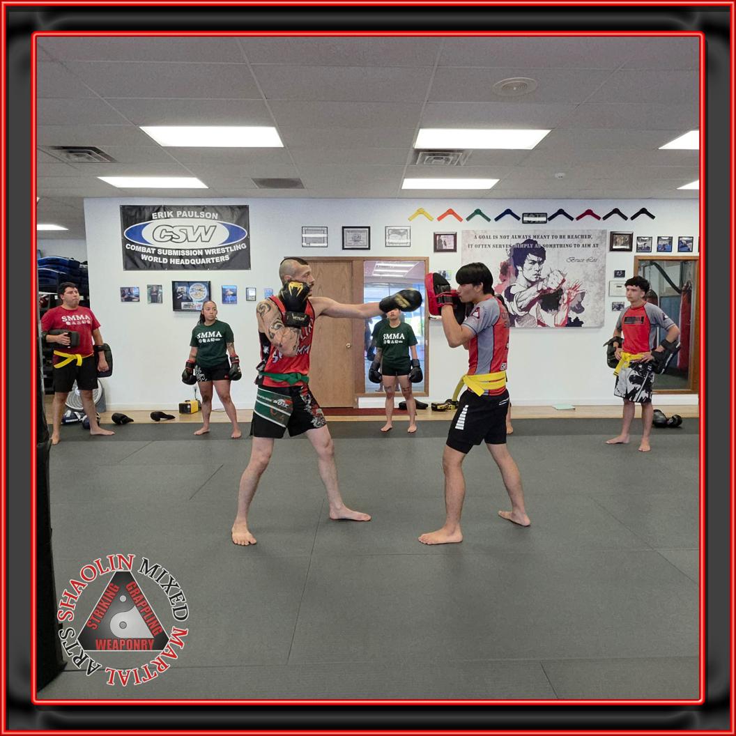 @shaolinmixedmartialarts