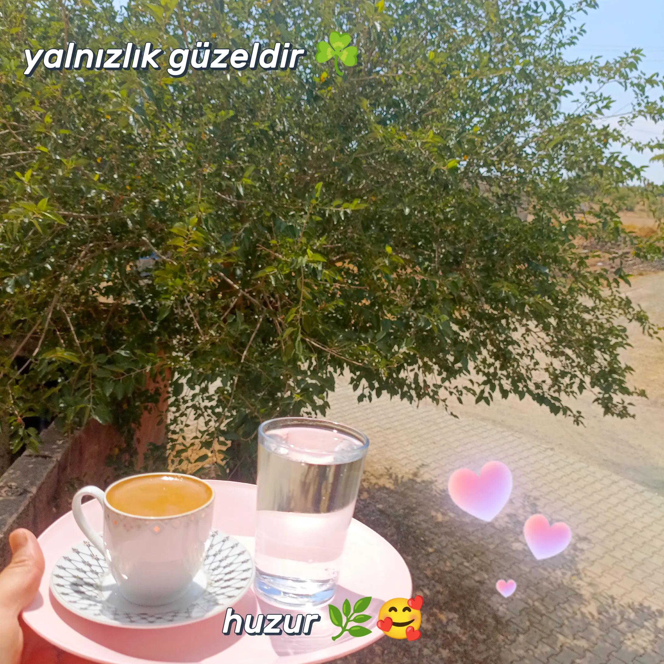 @Zeyno günn