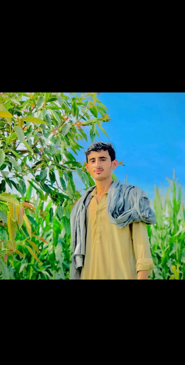 @qasim
