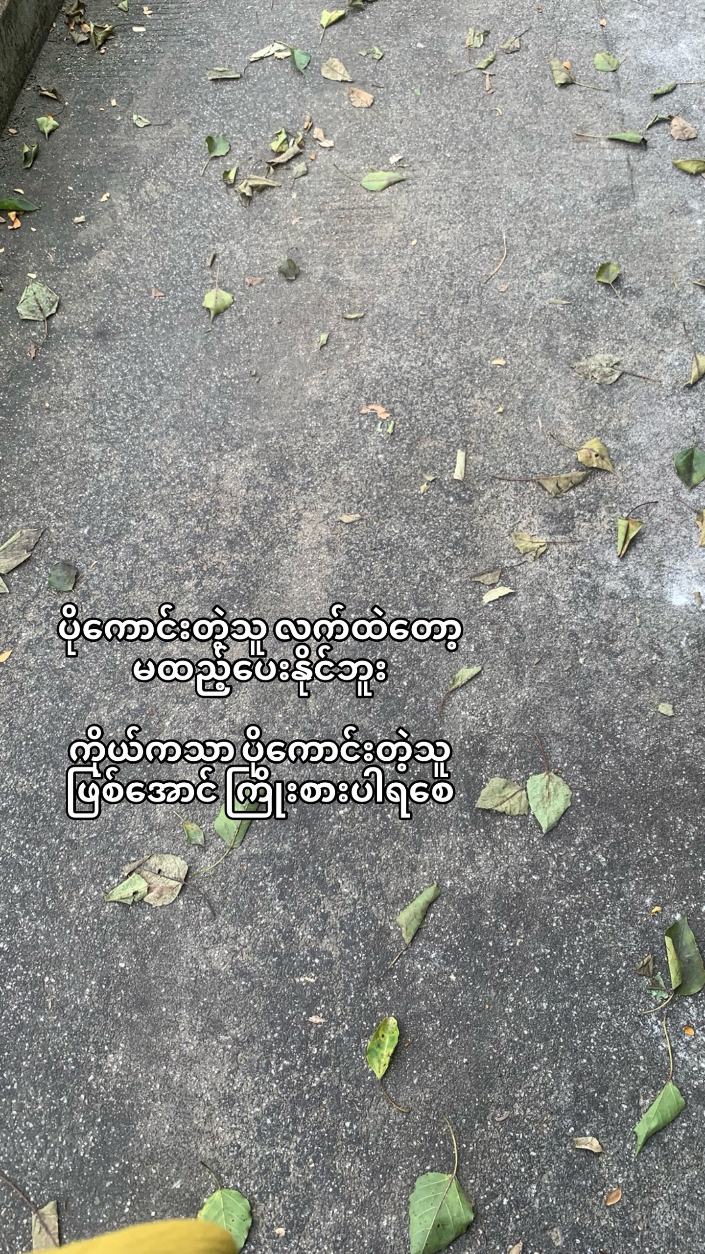 @ပြန်လာပေးပါ