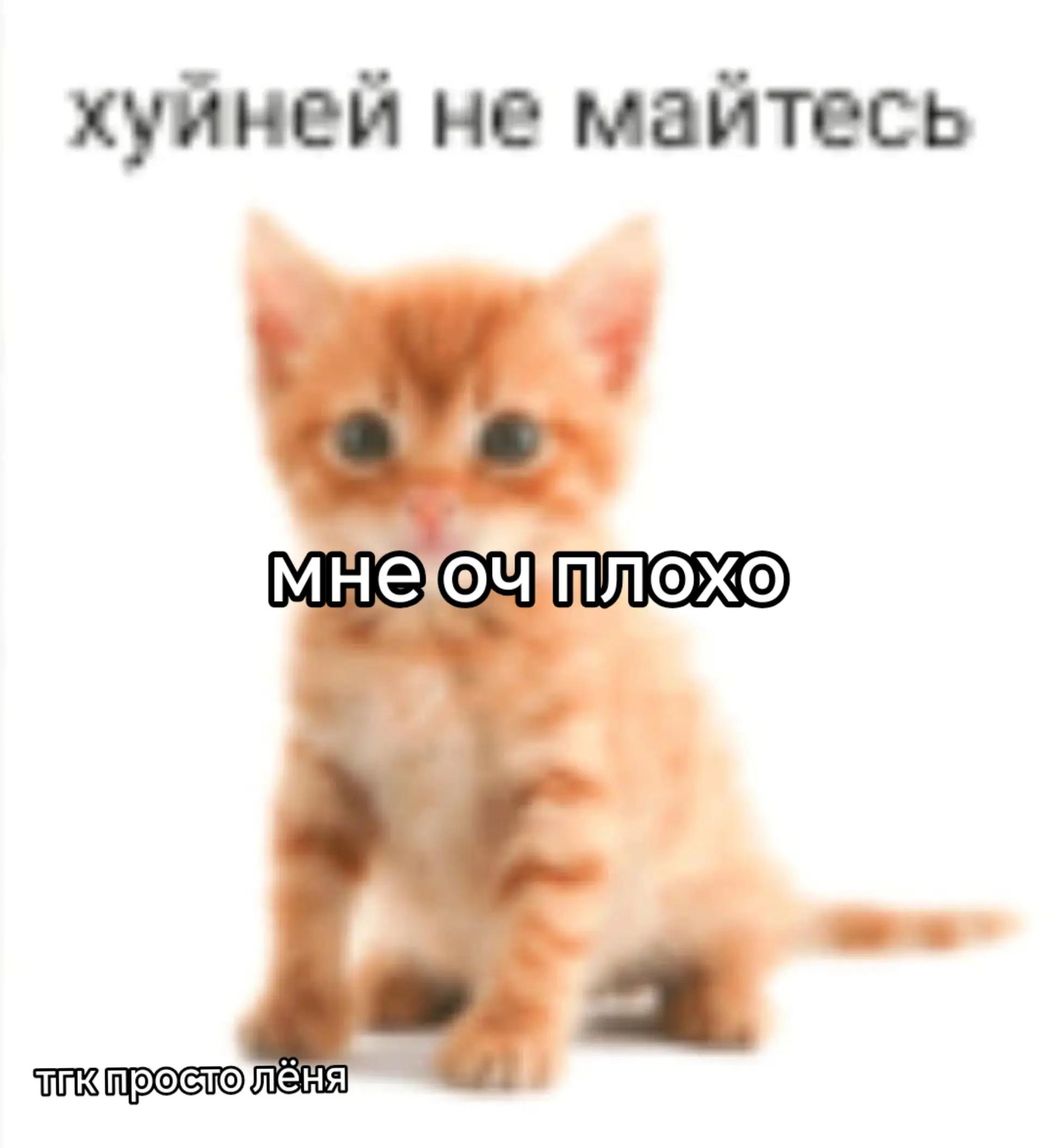 @lyan