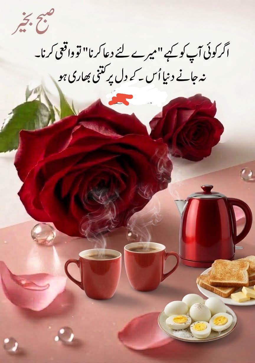 @Jabeen1786