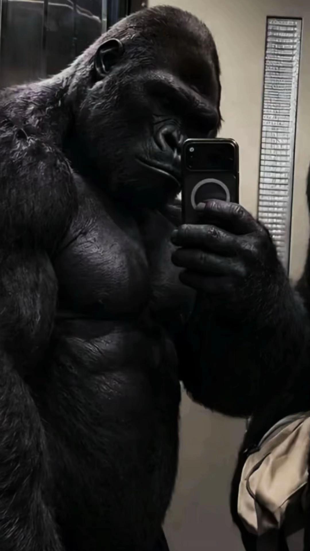 @Shora | شـوري 🚩