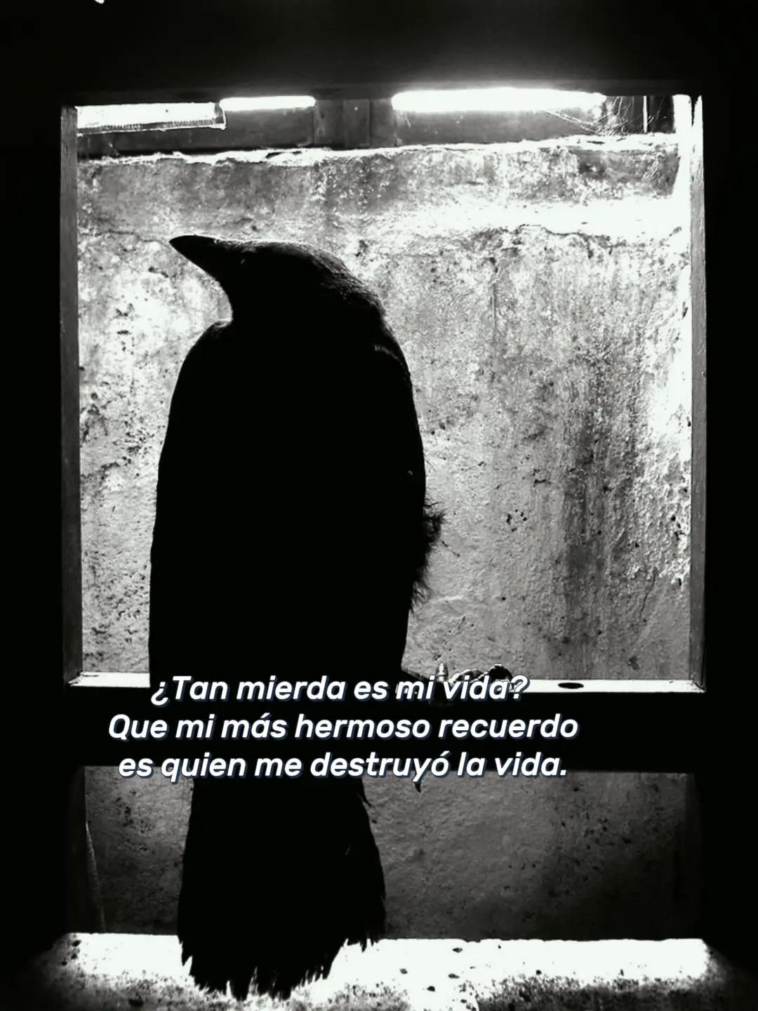 @◐⃢⃟꙰✧ 𝐅𝐑𝐀𝐒𝐄𝐒 ঔৣ◐⃢⃟꙰