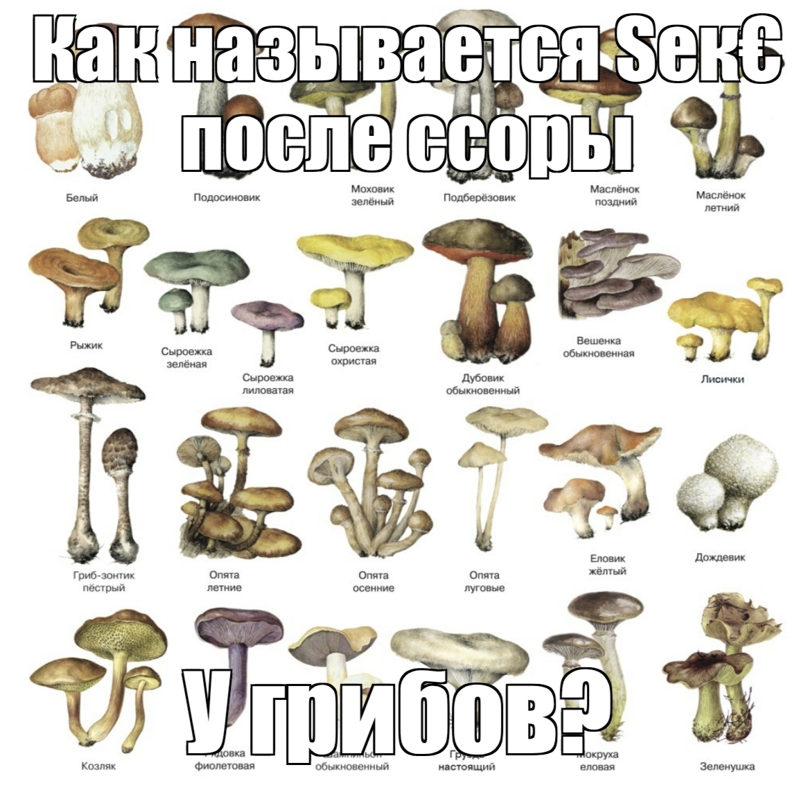 @ㅤ