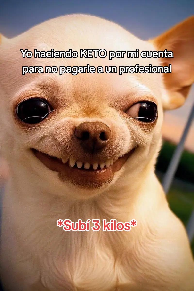 @yami