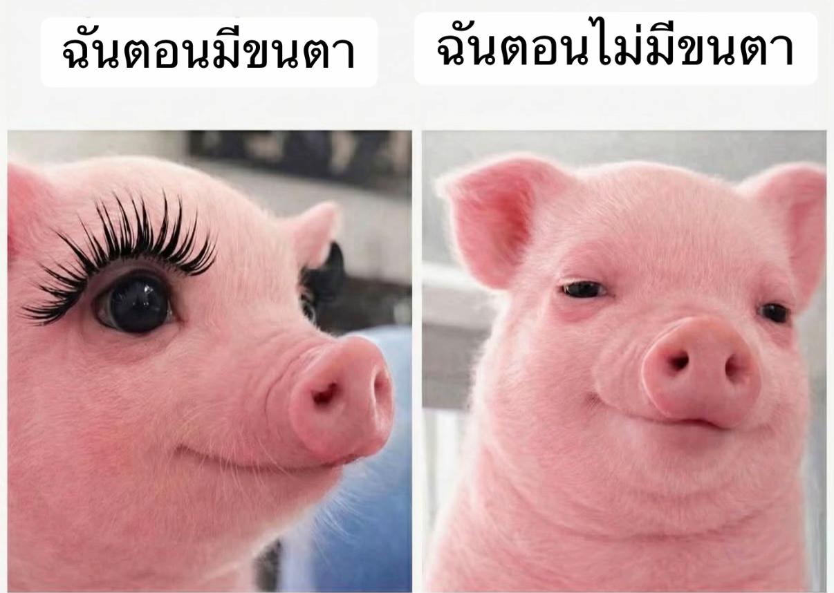 @เหม่งน้อย‘ ตาโต