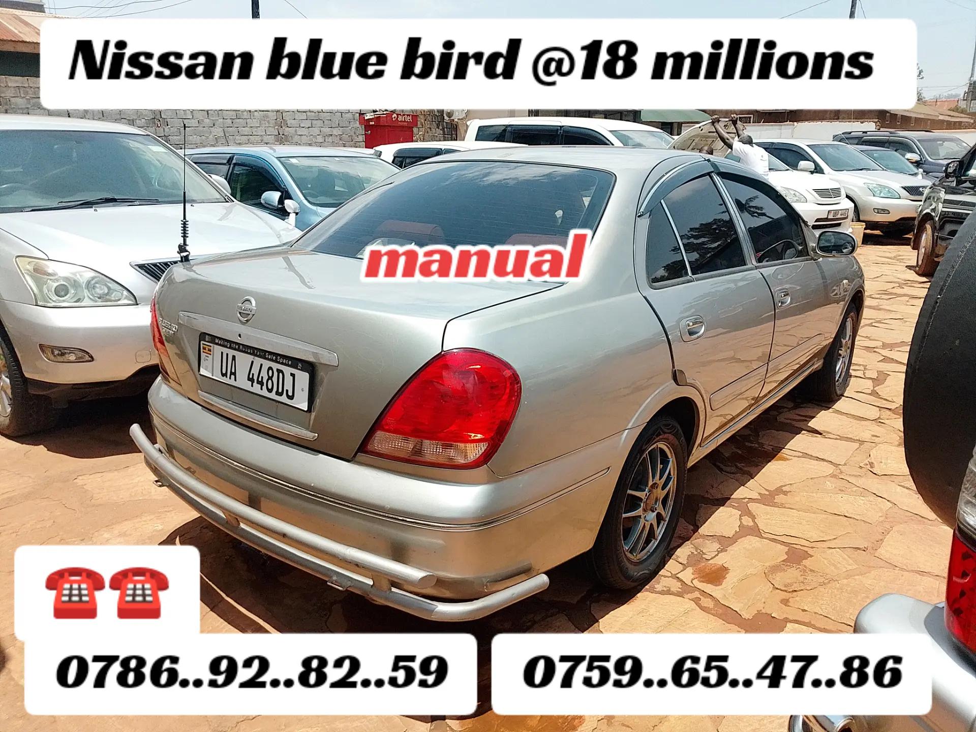 @OZEI SULA MOTORS
